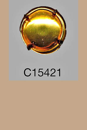 T15421p