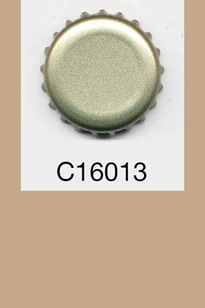 T16013p