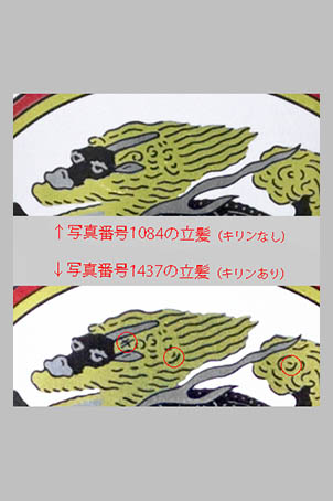 T1437kirin