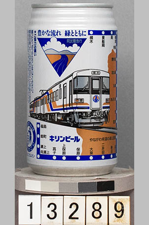 T13289 