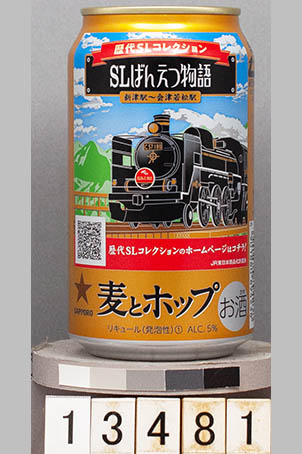 T13481 
