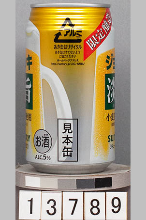 T13789a01