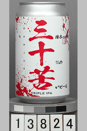 T13824a01 