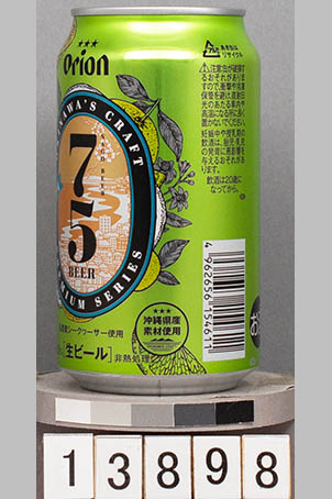 T13898a05