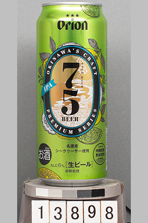 T13898j01
