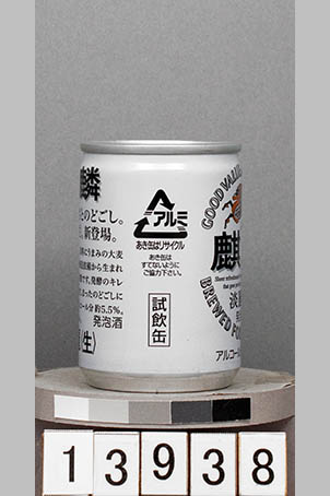 T13938a04